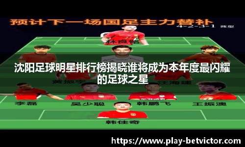沈阳足球明星排行榜揭晓谁将成为本年度最闪耀的足球之星